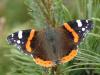 215420 – Photo : Patrick Bouvier – France (68)